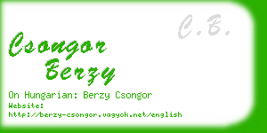 csongor berzy business card